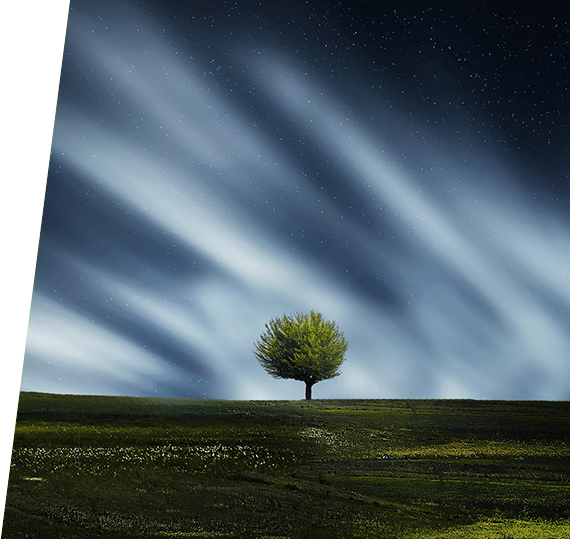 �����ʴ�(�й���)�ٷ���վ